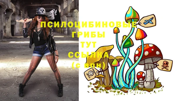 MDMA Premium VHQ Каменногорск