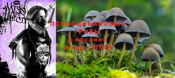 круглые Каменка